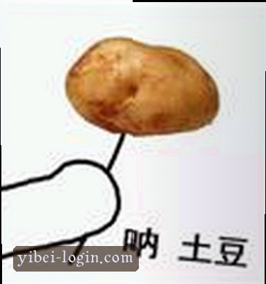 陈静