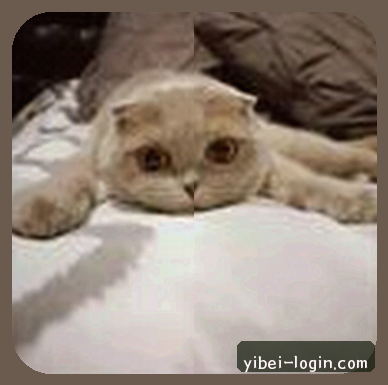 刘涛